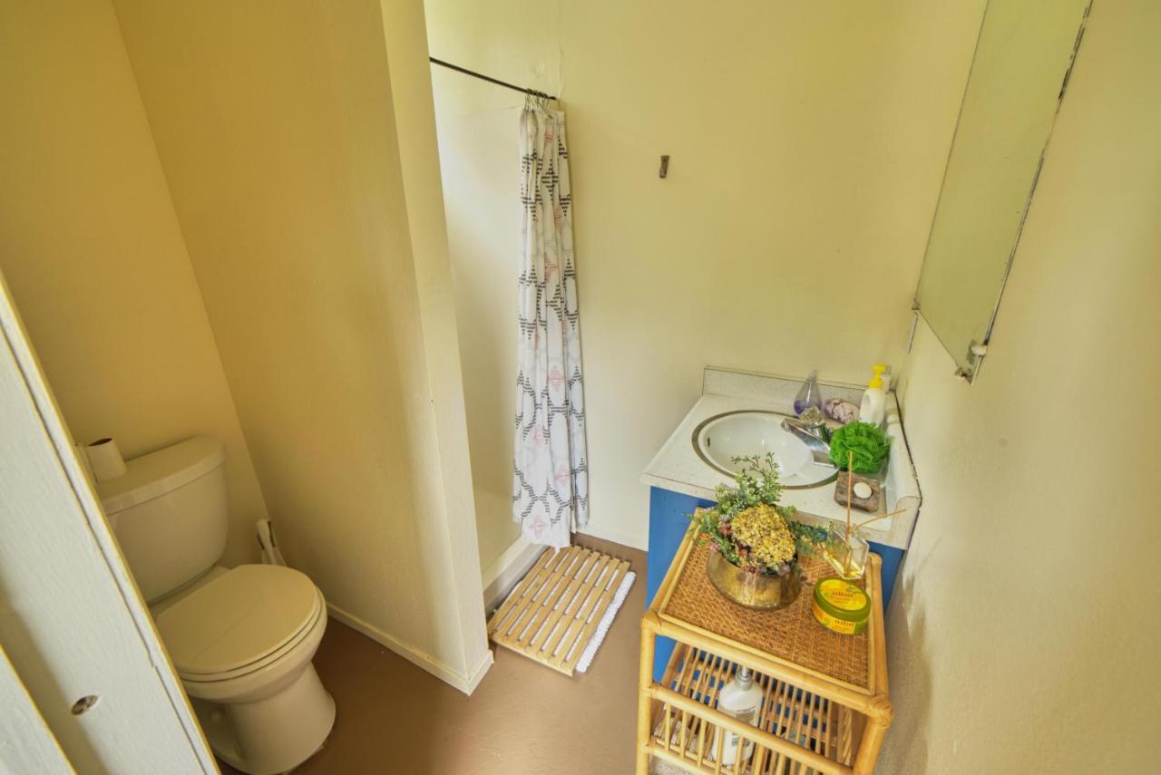Rivers Breeze Relaxing Riverside Cabin With Private Suite Kayaks Healdsburg Esterno foto